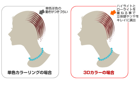 3Dカラーの仕組み